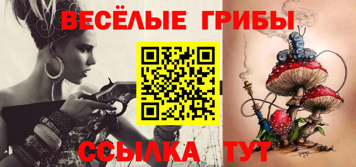 Камень-на-Оби  Псилоцибиновые грибы Magic Shrooms  Вход с VPN 